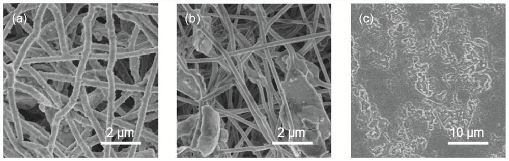 A three-dimensional mixed ion-electronic conductor current collector and its preparation method and application