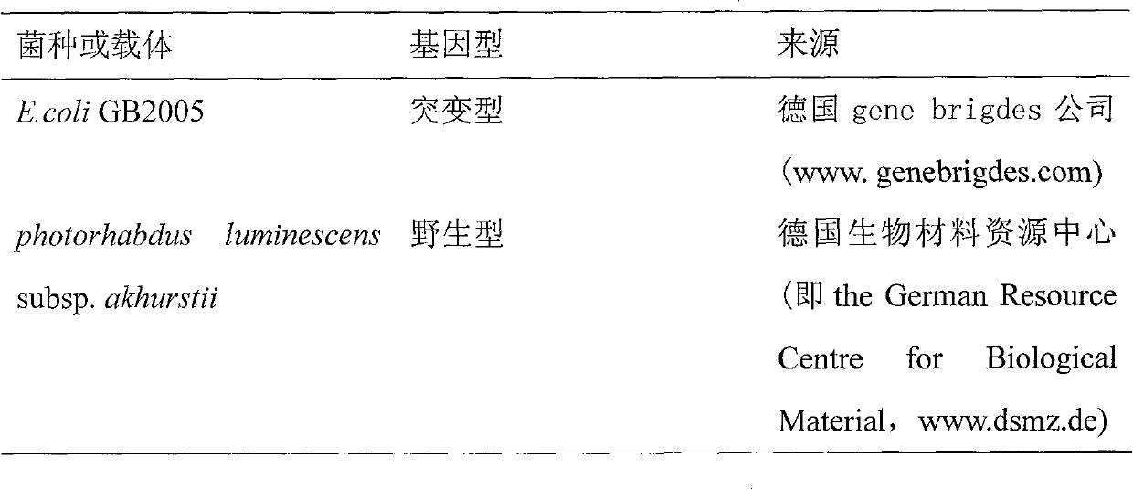 Cattle lactoferrin engineering bacterium and preparation method for antibiotic peptide cattle lactoferrin