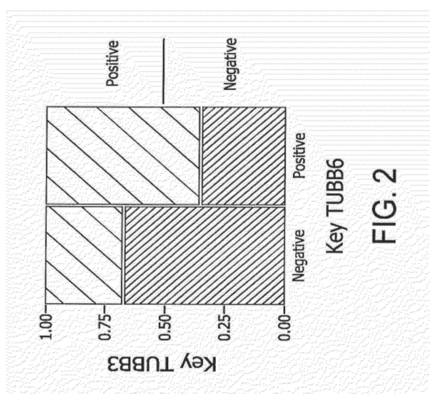 Method for the treatment of cancer