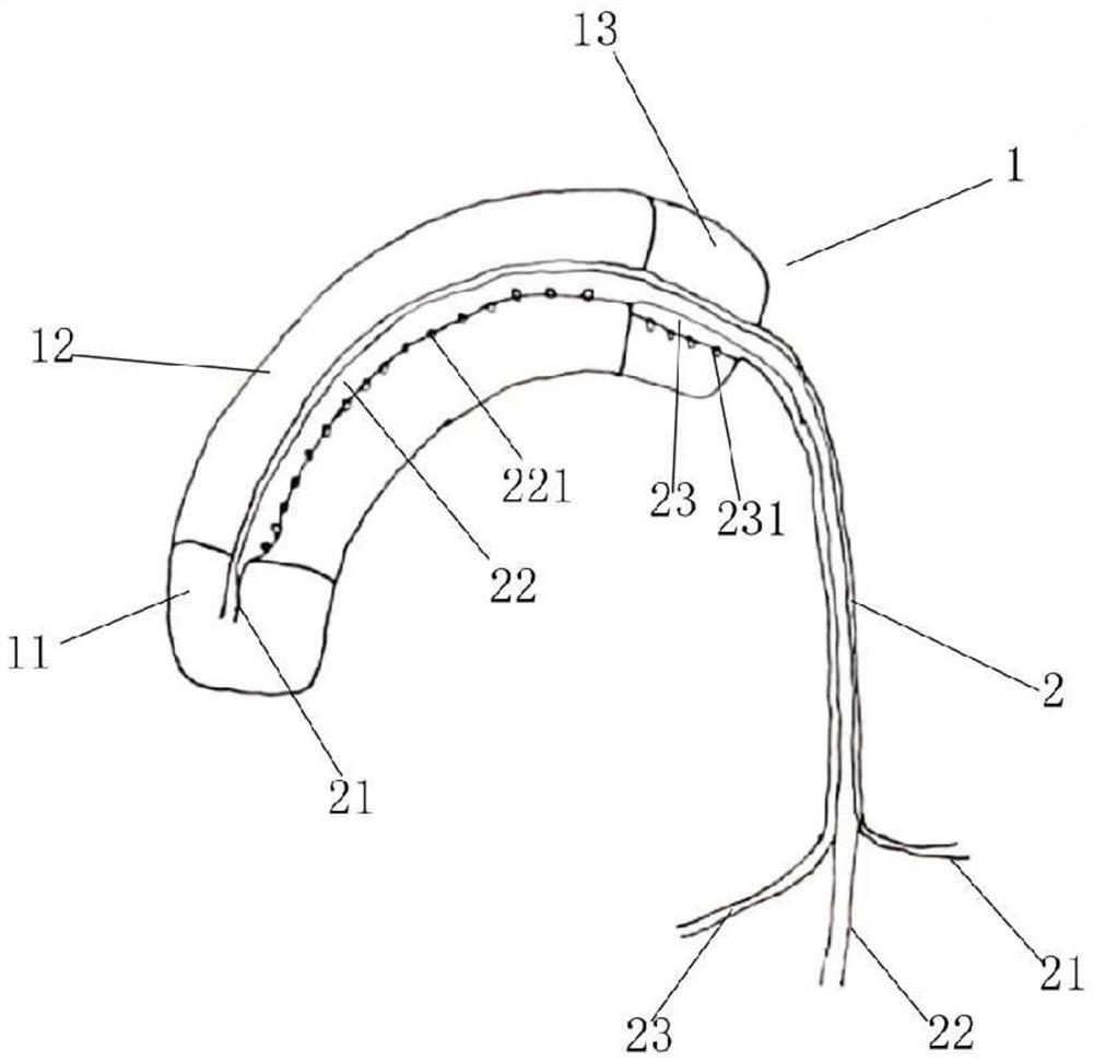 Auxiliary device for aortic heart pump