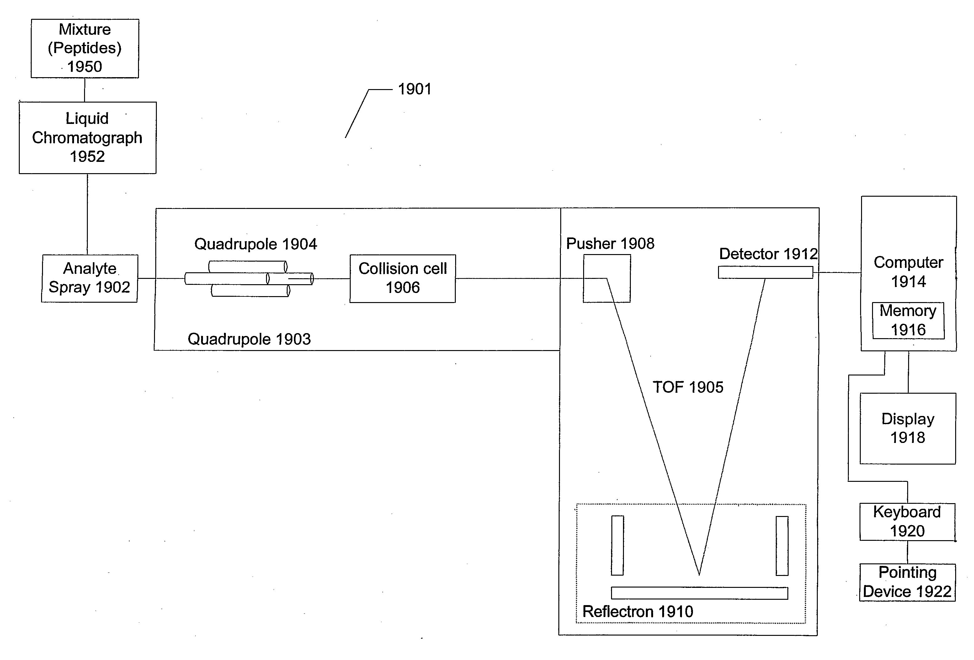 System and method for absolute quantitation of proteins using lc/ms