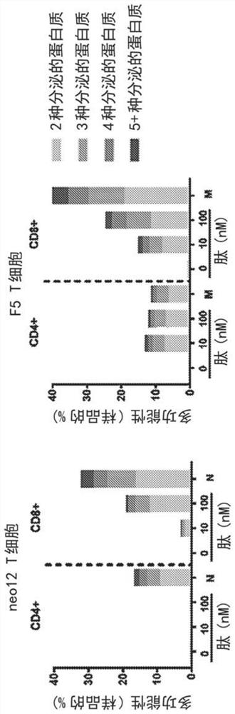 Methods of treatment using genetically modified autologous T cell immunotherapy
