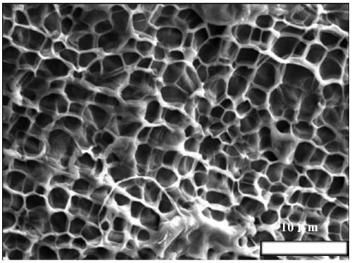 A kind of preparation method of functional nano-cellulose composite airgel