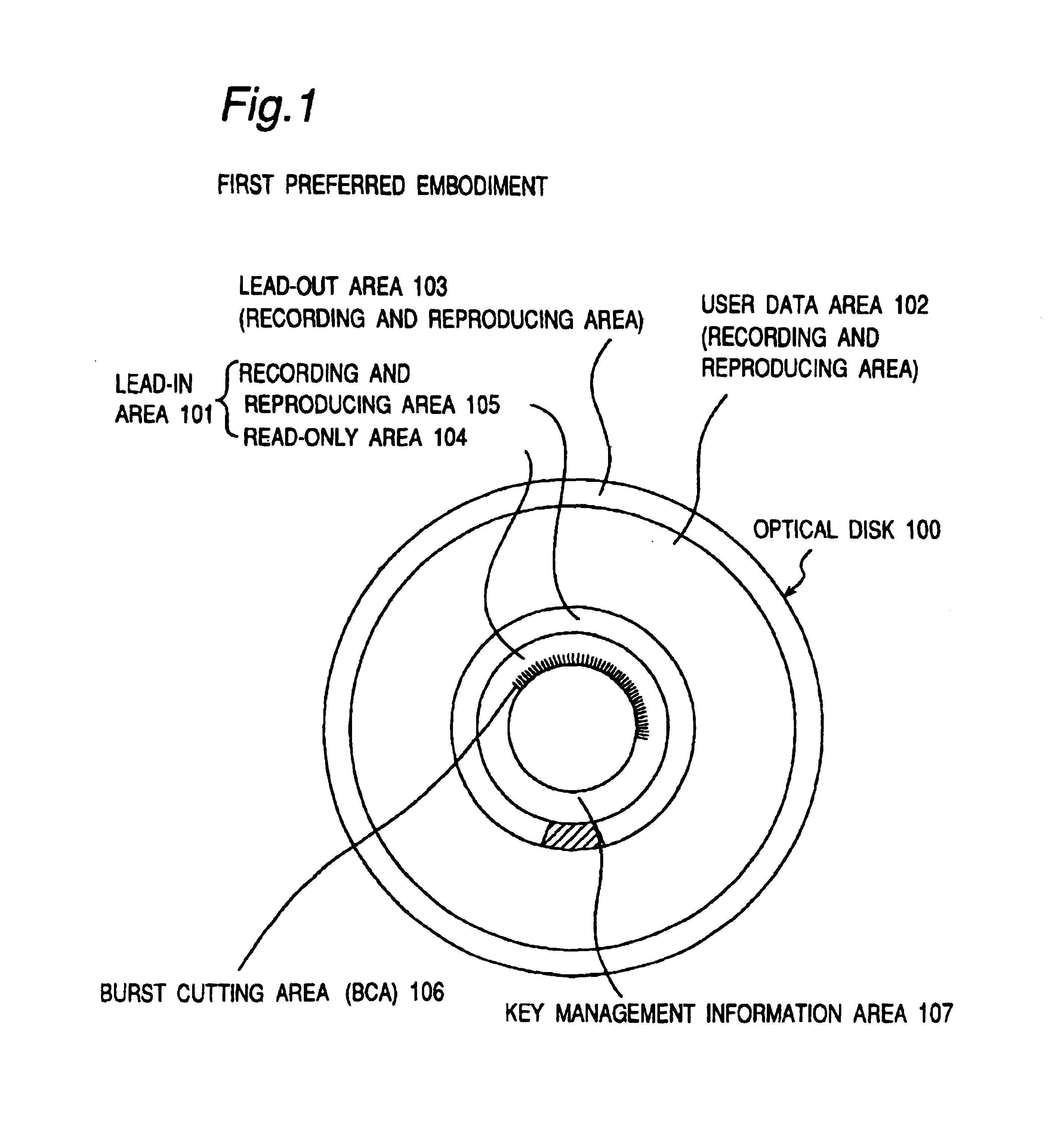 Optical disk, optical disk recording and reproducing apparatus, method for recording, reproducing and deleting data on optical disk, and information processing system