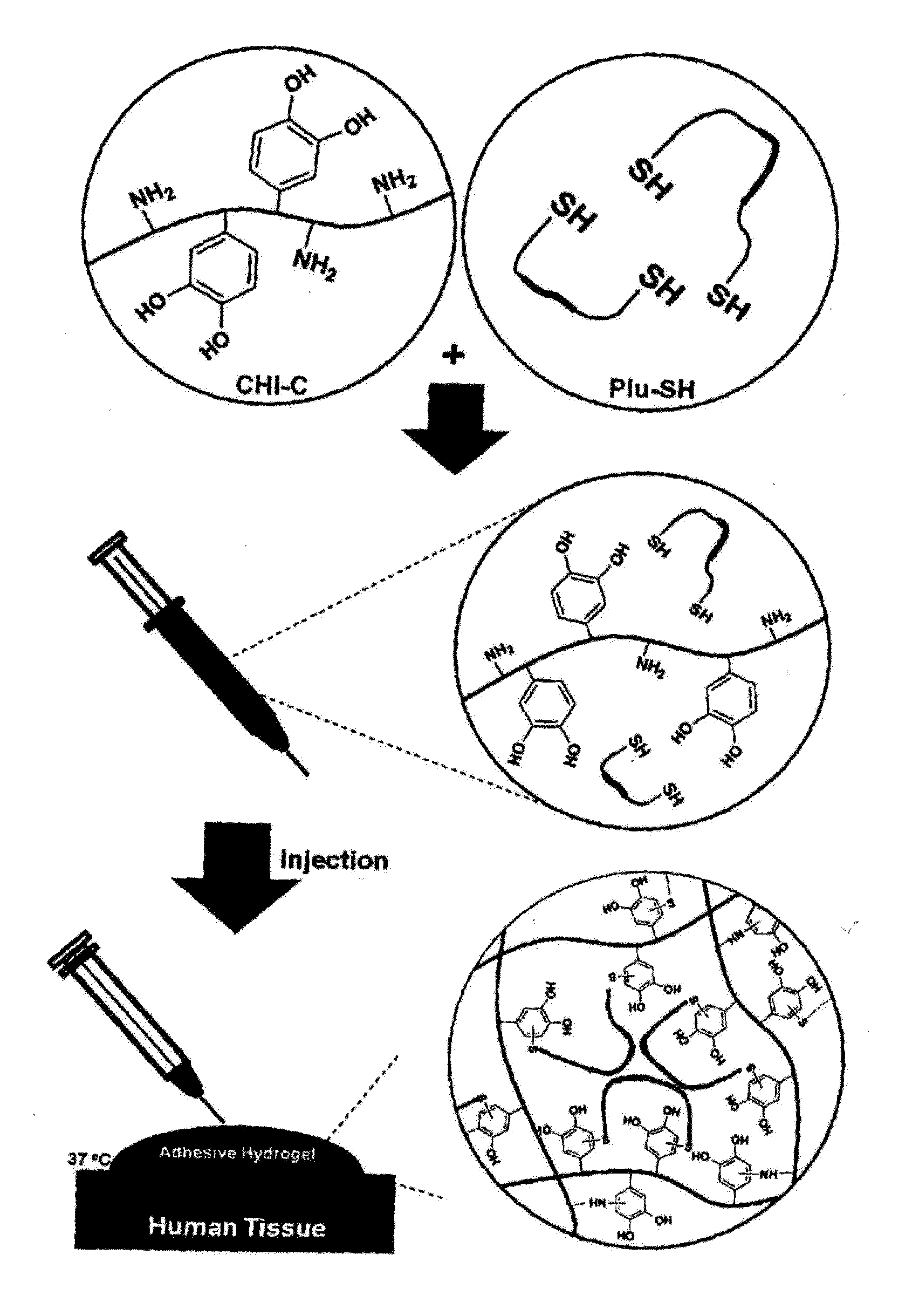 Hydrogel comprising catechol group-coupled chitosan or polyamine and poloxamer comprising thiol group coupled to end thereof, preparation method thereof, and hemostat using same