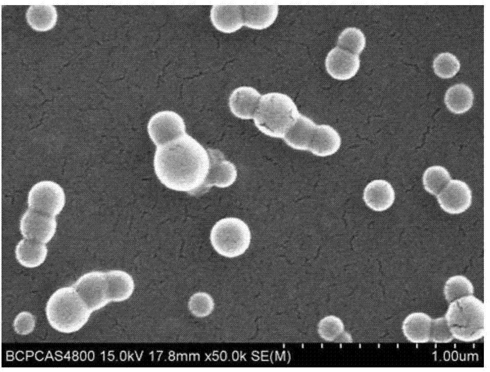 Fluorescent glucose nano biosensor and preparation method thereof