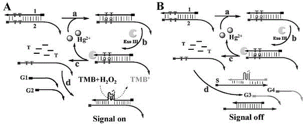 DNA colorimetric logic gate construction method based on metal ion regulation and control of exonuclease III shearing action