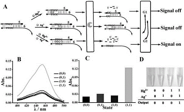DNA colorimetric logic gate construction method based on metal ion regulation and control of exonuclease III shearing action
