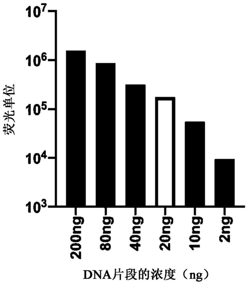 Novel ligand assays