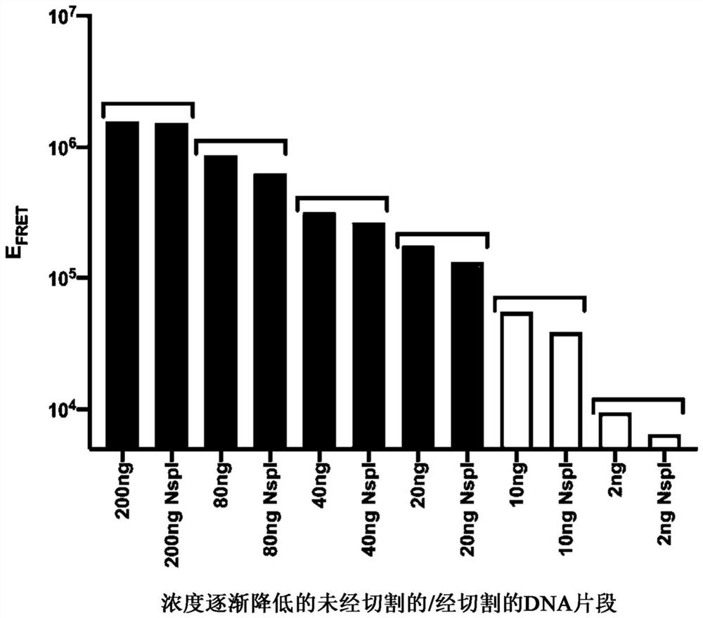 Novel ligand assays