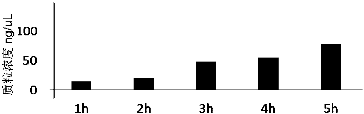 Culture medium for inducing plasmid copy number increase and application thereof