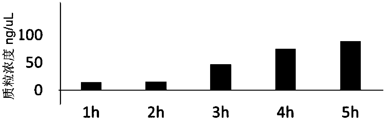 Culture medium for inducing plasmid copy number increase and application thereof