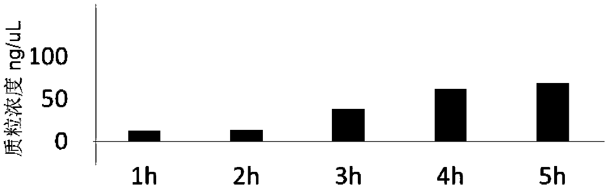 Culture medium for inducing plasmid copy number increase and application thereof