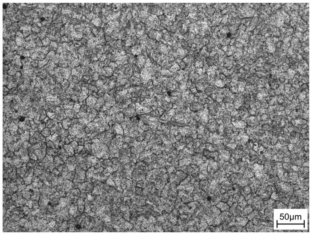 A Metallographic Corrosion Method for Rapidly Displaying Grain Boundaries of Special Steel