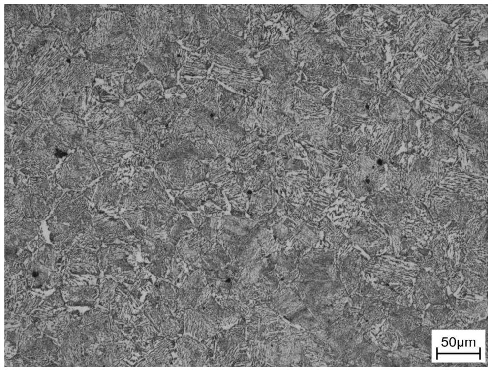 A Metallographic Corrosion Method for Rapidly Displaying Grain Boundaries of Special Steel