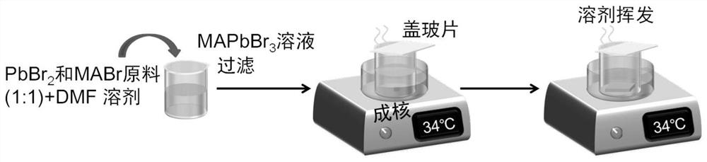 Halide perovskite single crystal, preparation method and application of halogenated perovskite single crystal in preparation of X-ray detector