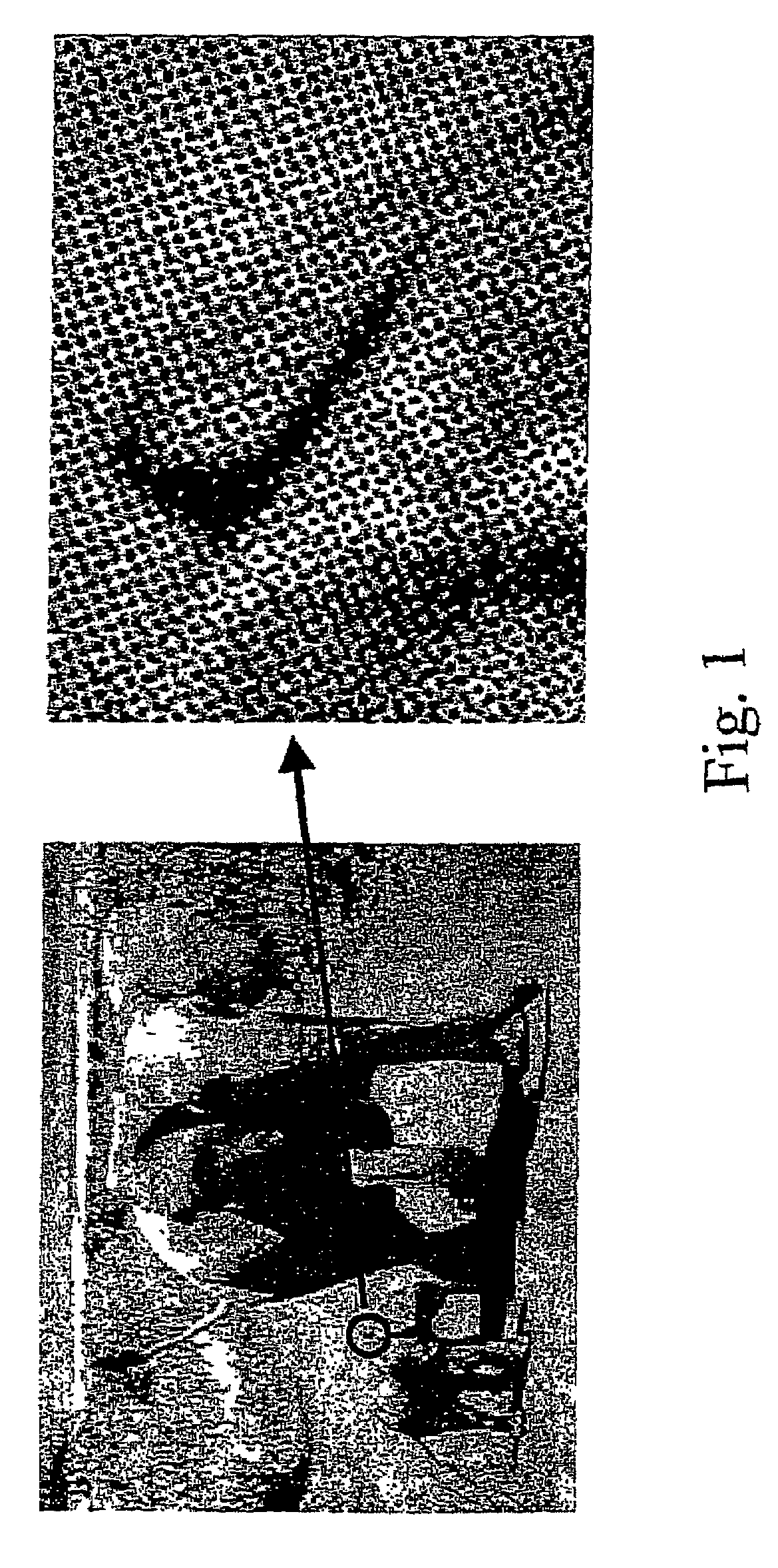 System and method for displaying an image
