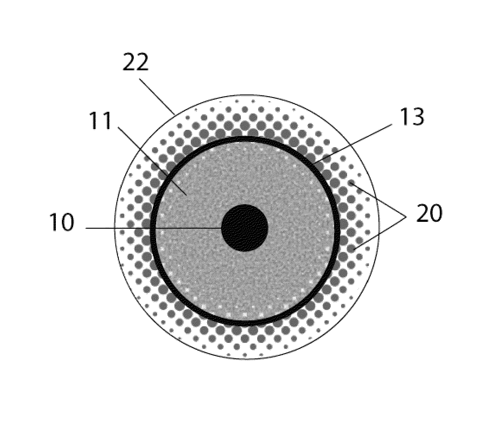 Oriented contact lens with brightly colored sclera