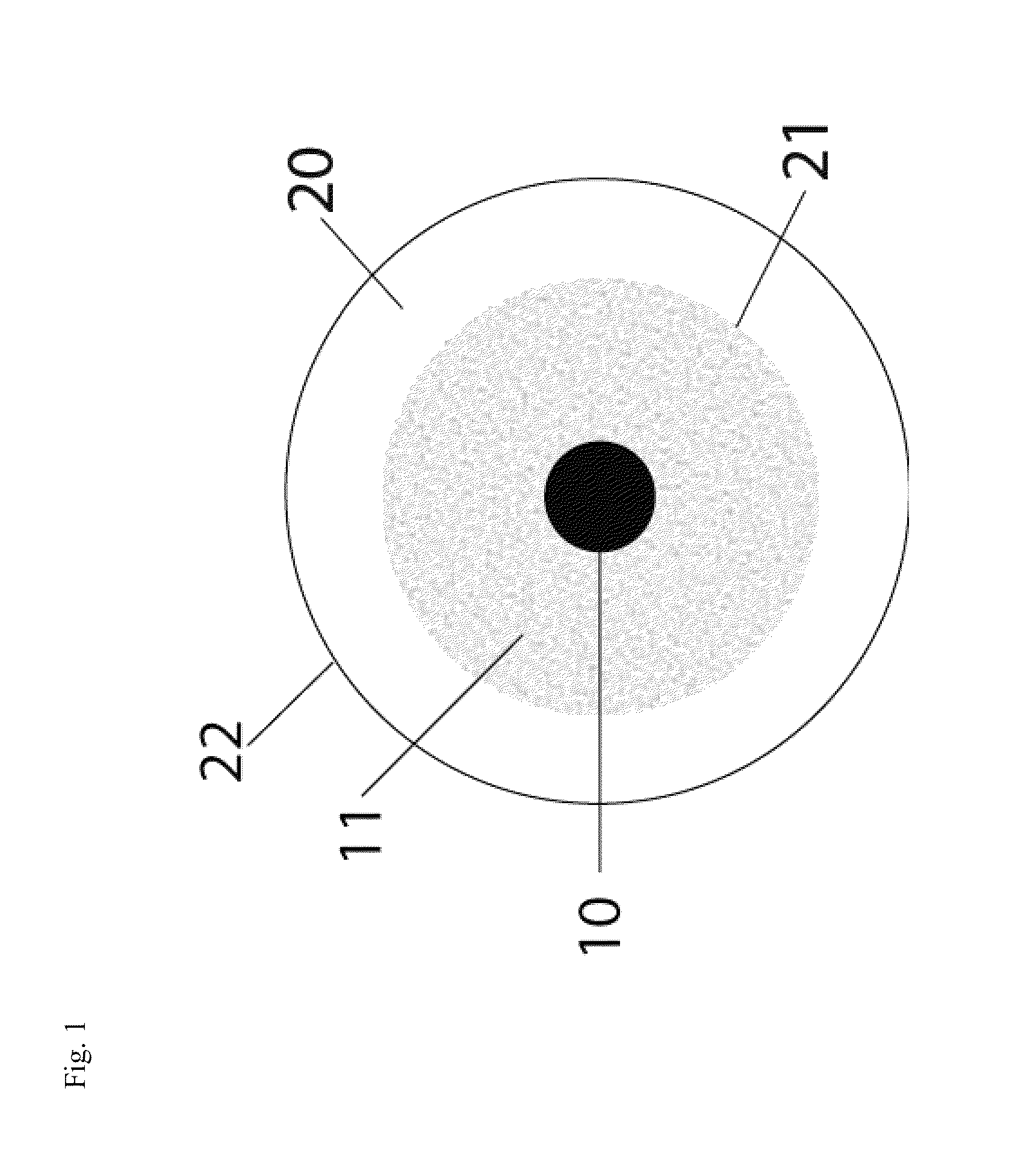 Oriented contact lens with brightly colored sclera