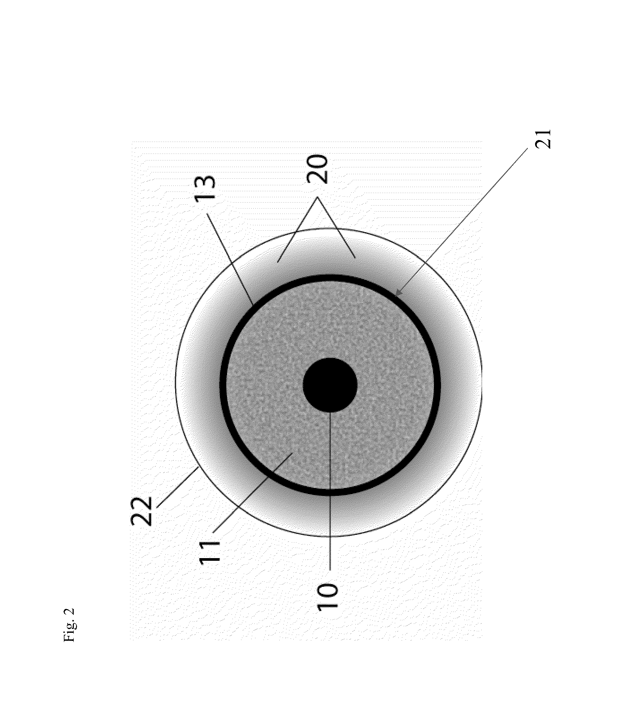 Oriented contact lens with brightly colored sclera