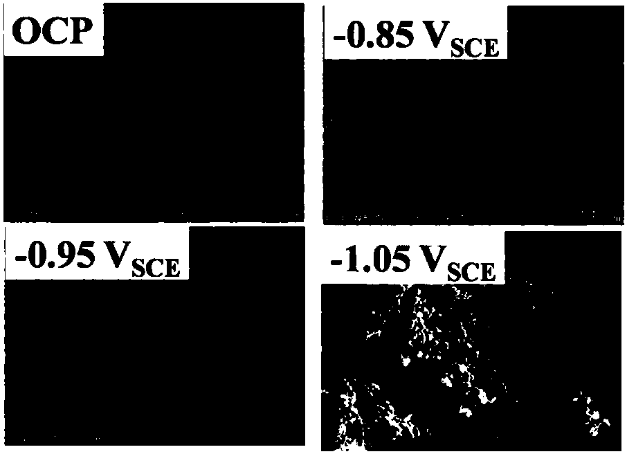 Method for evaluating cathodic protection potential range in anaerobic environment containing sulfate reducing bacteria (SRB)