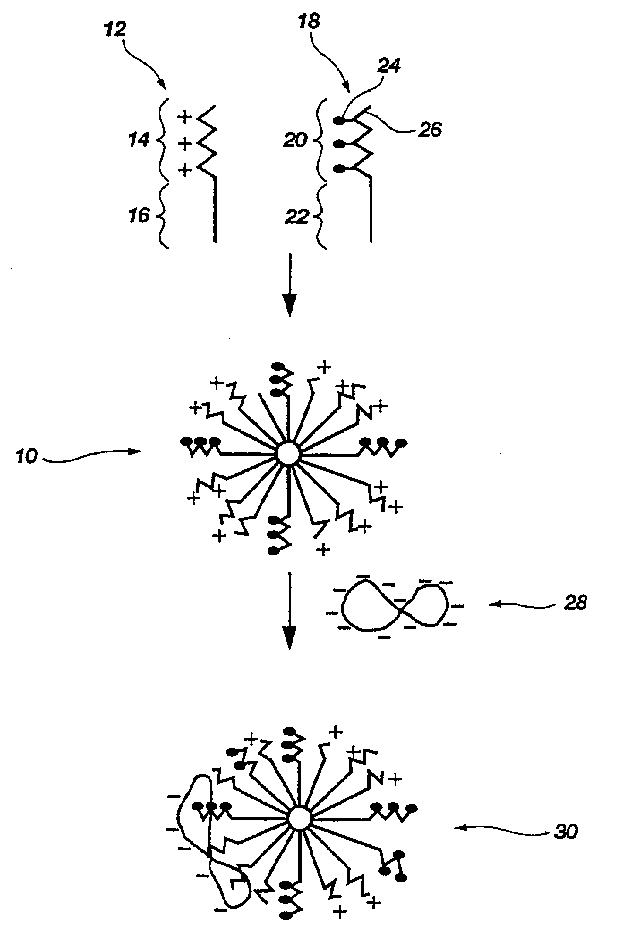 Biodegradable mixed polymeric micelles for gene delivery
