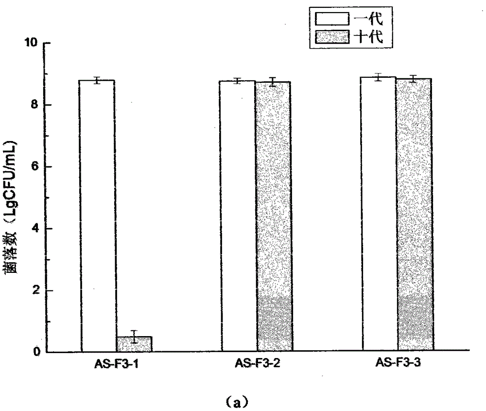Acid resistance and high succinic acid yield strain and preparation method thereof
