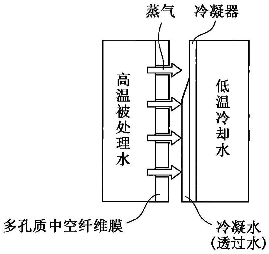 Porous membrane for membrane distillation and operating method of module for membrane distillation