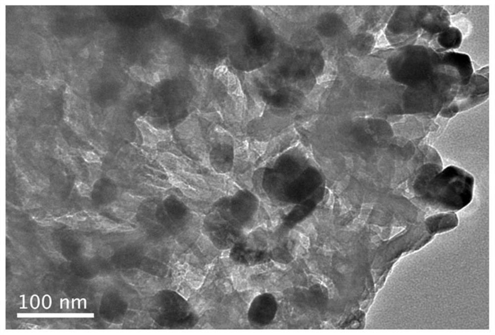 Rare-earth-ion-doped cerium trifluoride/graphite-phase carbon nitride composite photocatalytic material, and preparation method and application thereof