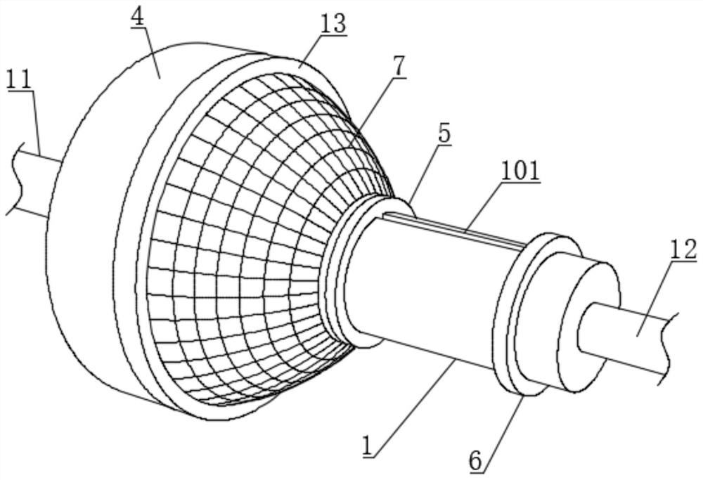 Anticorrosion coating device suitable for multi-variable-diameter stainless steel straight pipe
