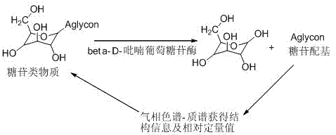 Method for measuring glycoside in tobacco through enzyme hydrolysis-gas chromatography-mass spectrum combination