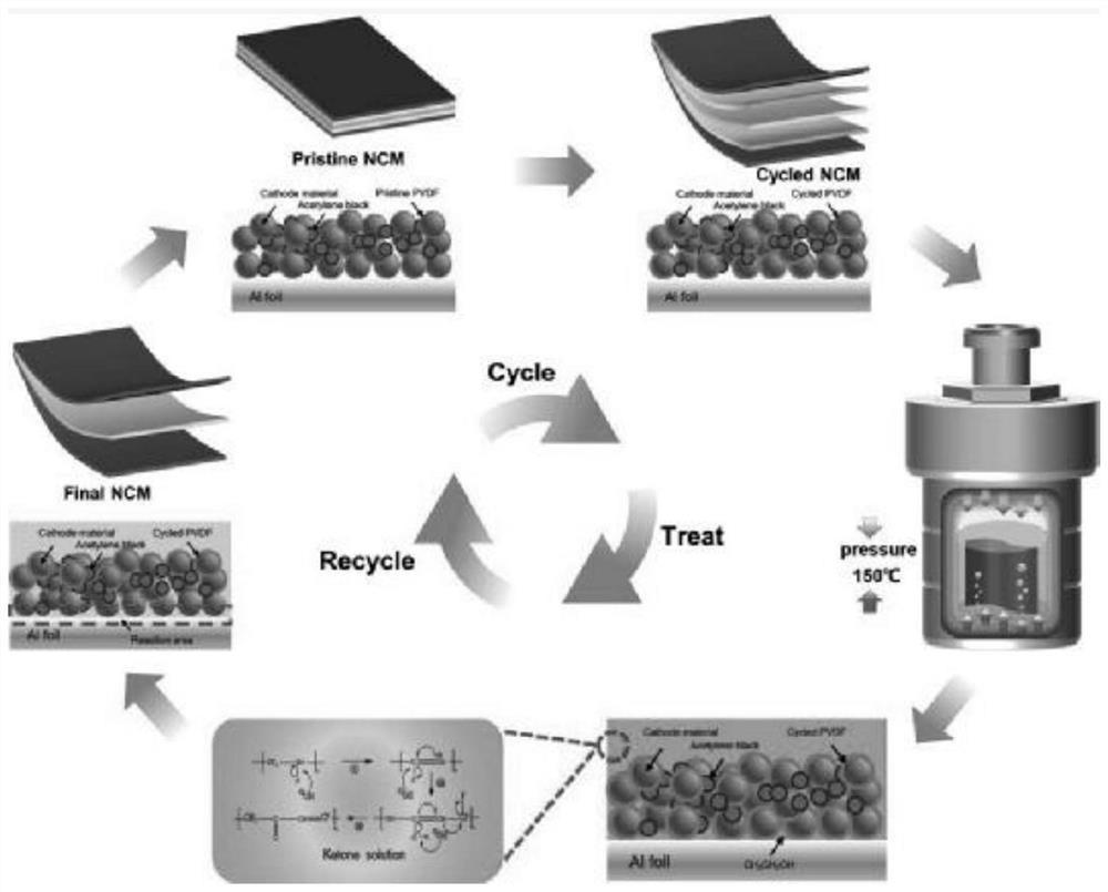 Solvothermal pretreatment method and application of waste lithium battery positive electrode material