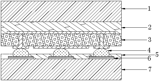 WMT solar cell module and preparation method thereof