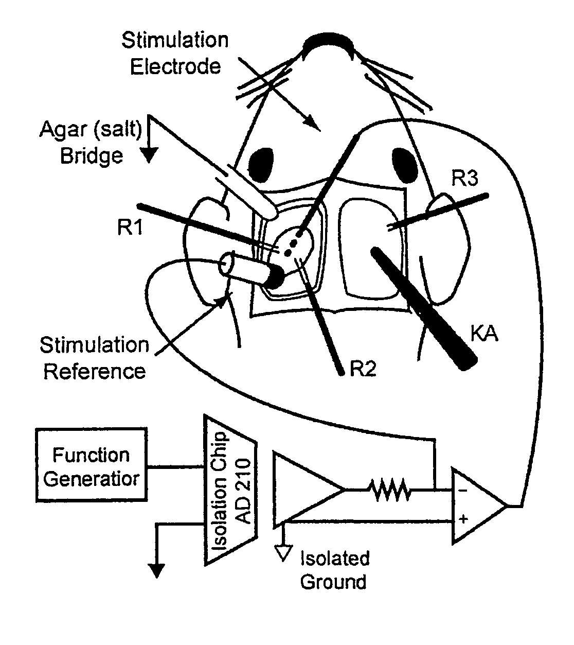 Methods and devices for determining brain state