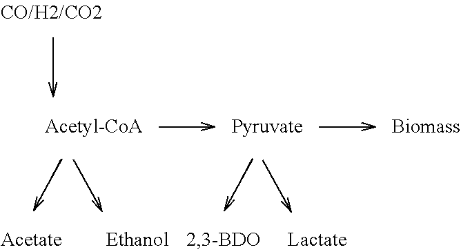 System and method for controlling metabolite production in a microbial fermentation