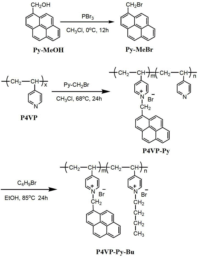 Pyrene-marked single-chain DNA (deoxyribonucleic acid) fluorescent probe and preparation method thereof