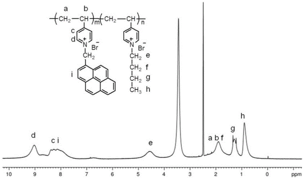 Pyrene-marked single-chain DNA (deoxyribonucleic acid) fluorescent probe and preparation method thereof