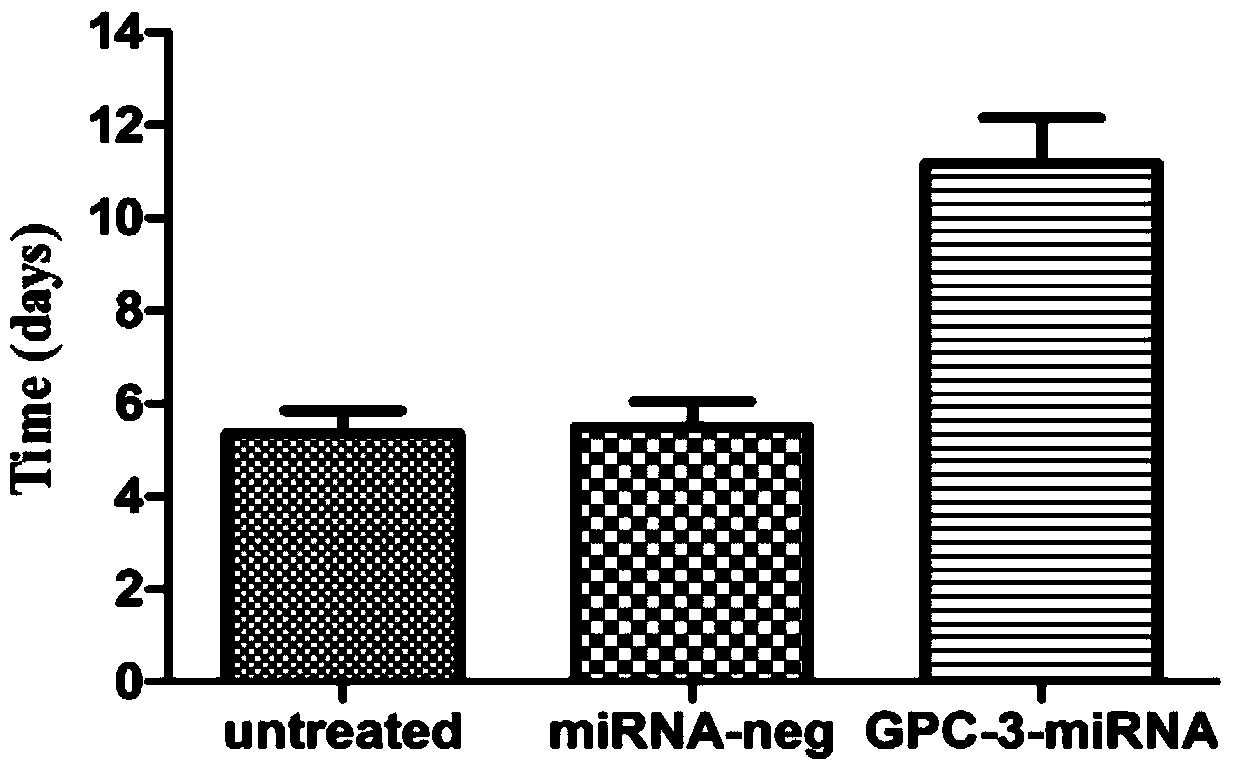 Method for detecting inhibiting ability of silent GPC-3 gene transcription on hepatocellular carcinoma transplanted tumor in nude mouse