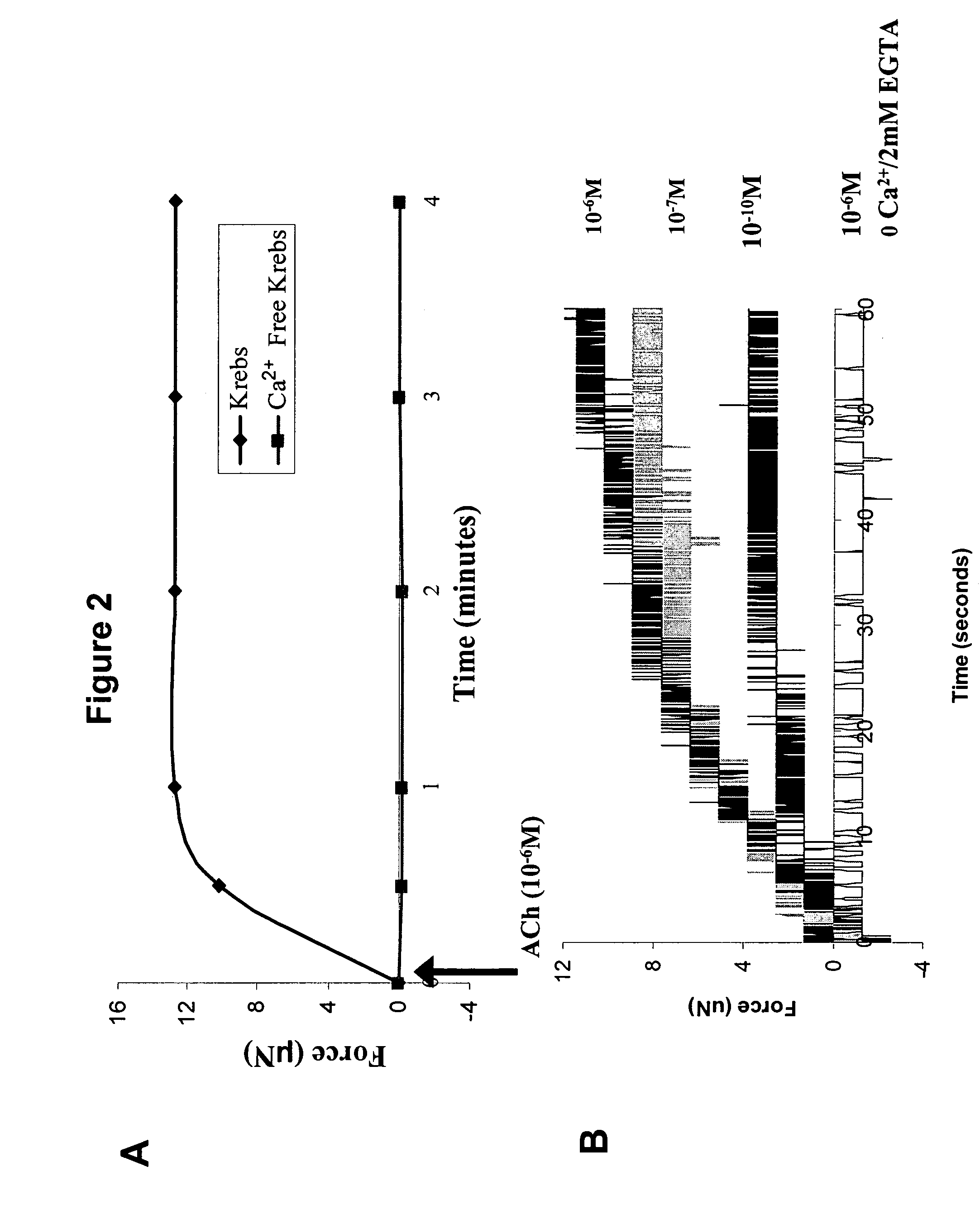 Three dimensional bioengineered smooth muscle tissue and sphincters and methods therefor