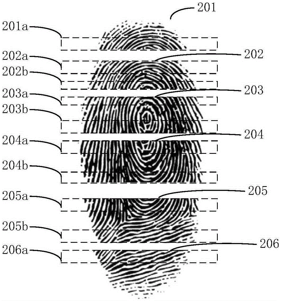 Fingerprint identification method and apparatus