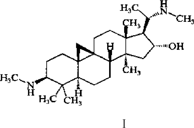 Medicinal composition for treating ischemic cerebrovascular disease, and preparation method thereof