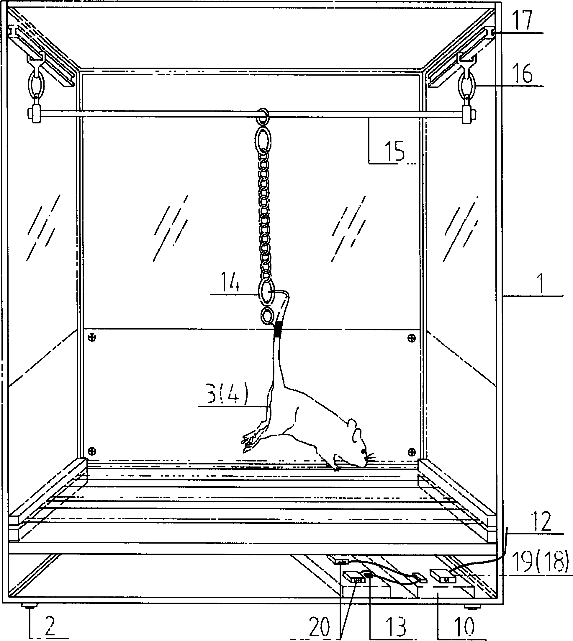 Intelligentized display device of simulated rat in simulated weightlessness condition