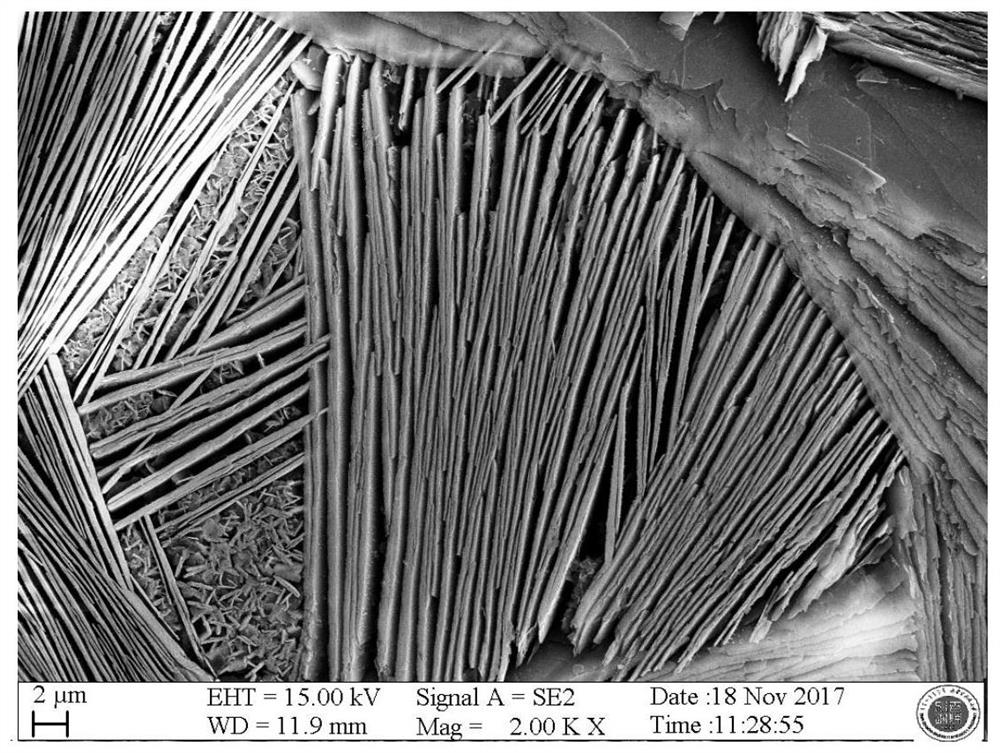 Fluorphlogopite glass ceramics from melting and casting tailings and preparation method thereof