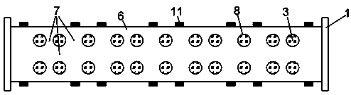 Composite tension-compression energy dissipation brace locked by lead dots