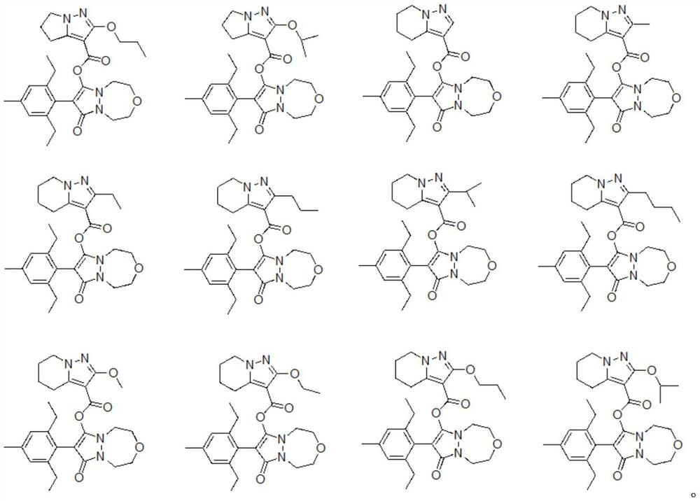 Phenyl pyrazoline derivative or salt, composition and application thereof