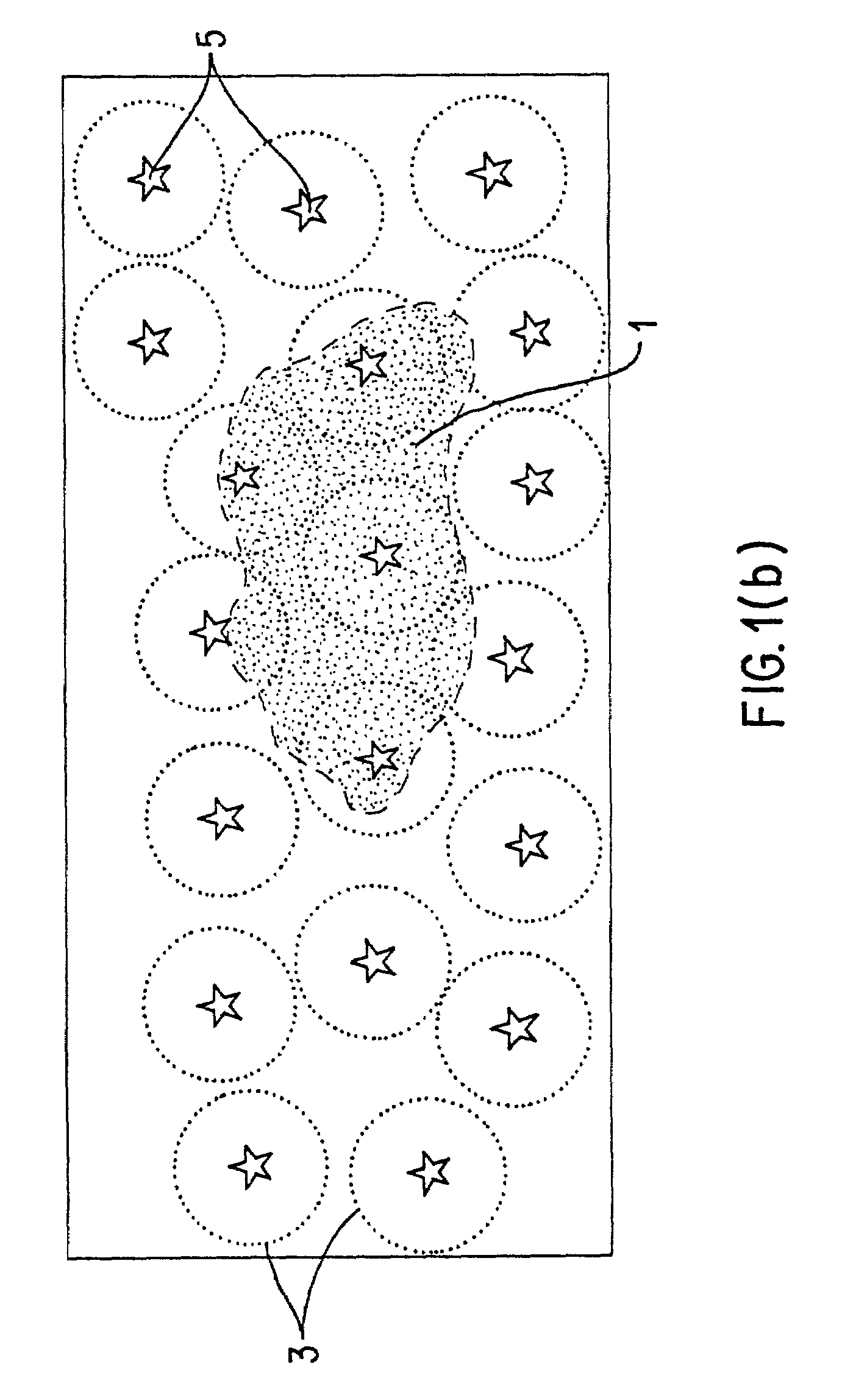 Method for selecting an optimally diverse library of small molecules based on validated molecular structural descriptors