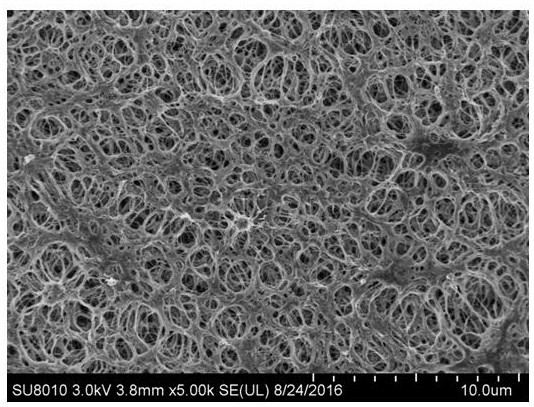 A kind of microporous PTFE composite carbon nanotube paper and preparation method thereof