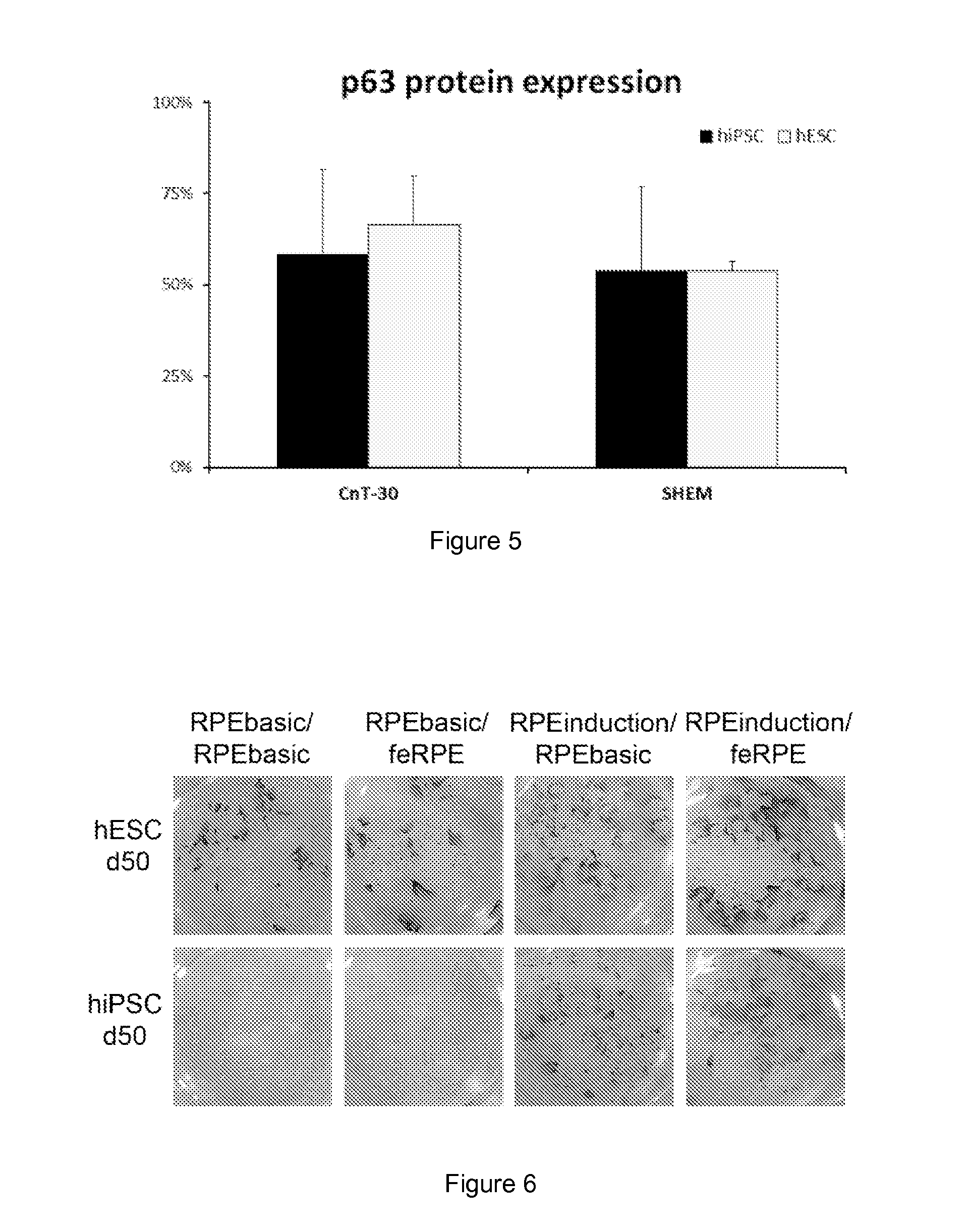 Methods and media for differentiating eye cells
