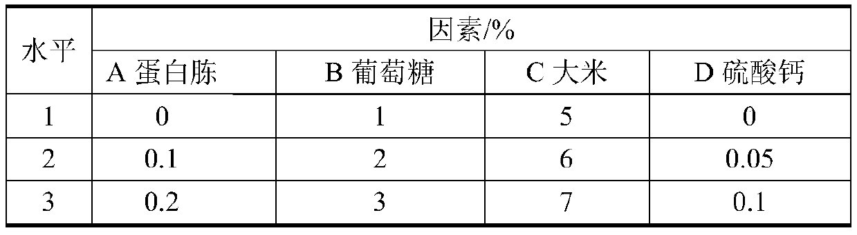 Morchella esculenta mother strain culture medium and morchella esculenta mother strain preparation method