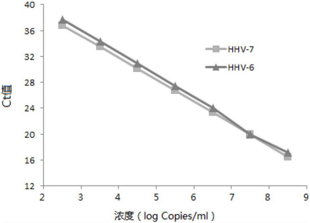Primers, probes and kit for synchronously detecting human herpesvirus-6 and human herpesvirus-7